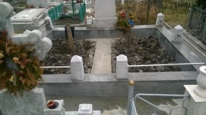 WP 20170313 004